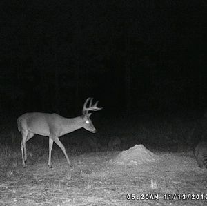 Meet your Posher, Derek